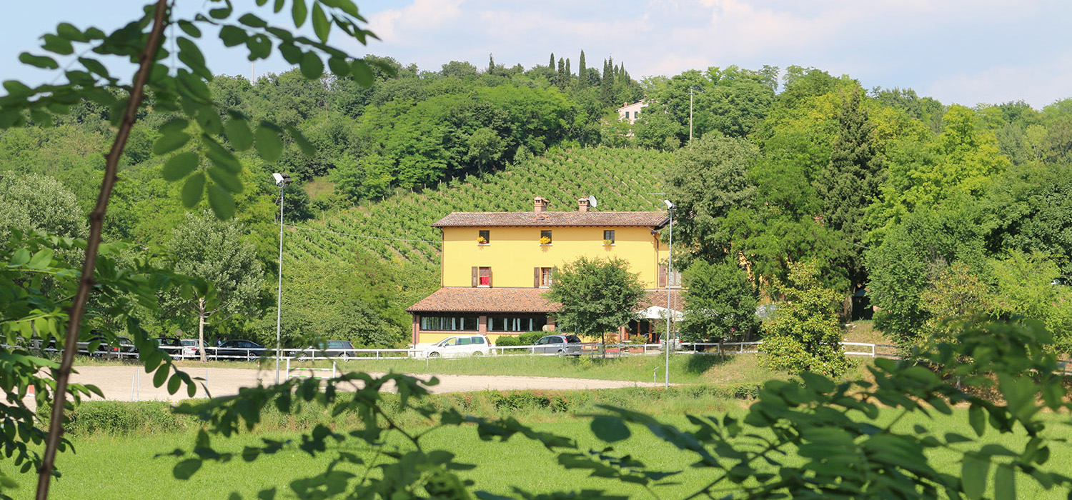 Ristorante Le Volpi