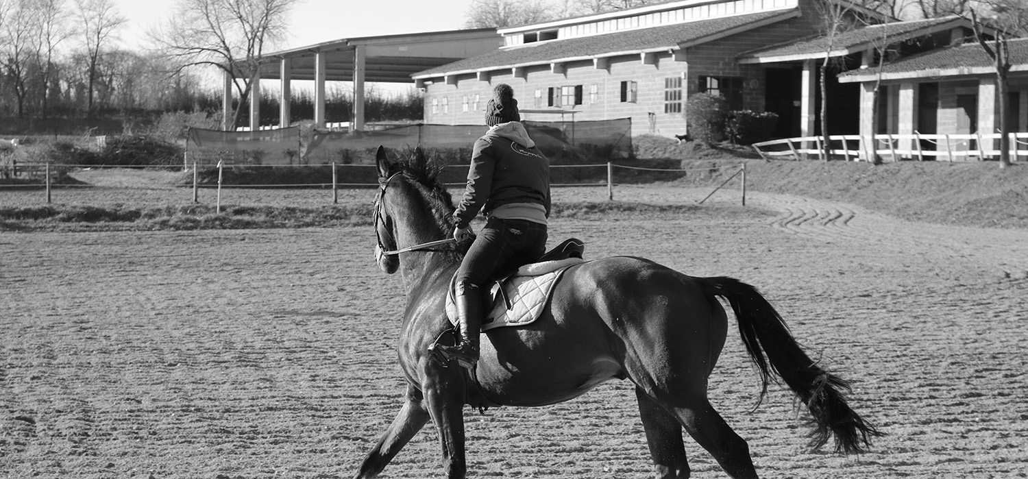 Planning a horseback riding excursion: a step-by-step guide